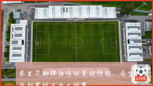 弗里茨脚踝扭伤恢复超预期,有望亮相蒙特卡洛大师赛